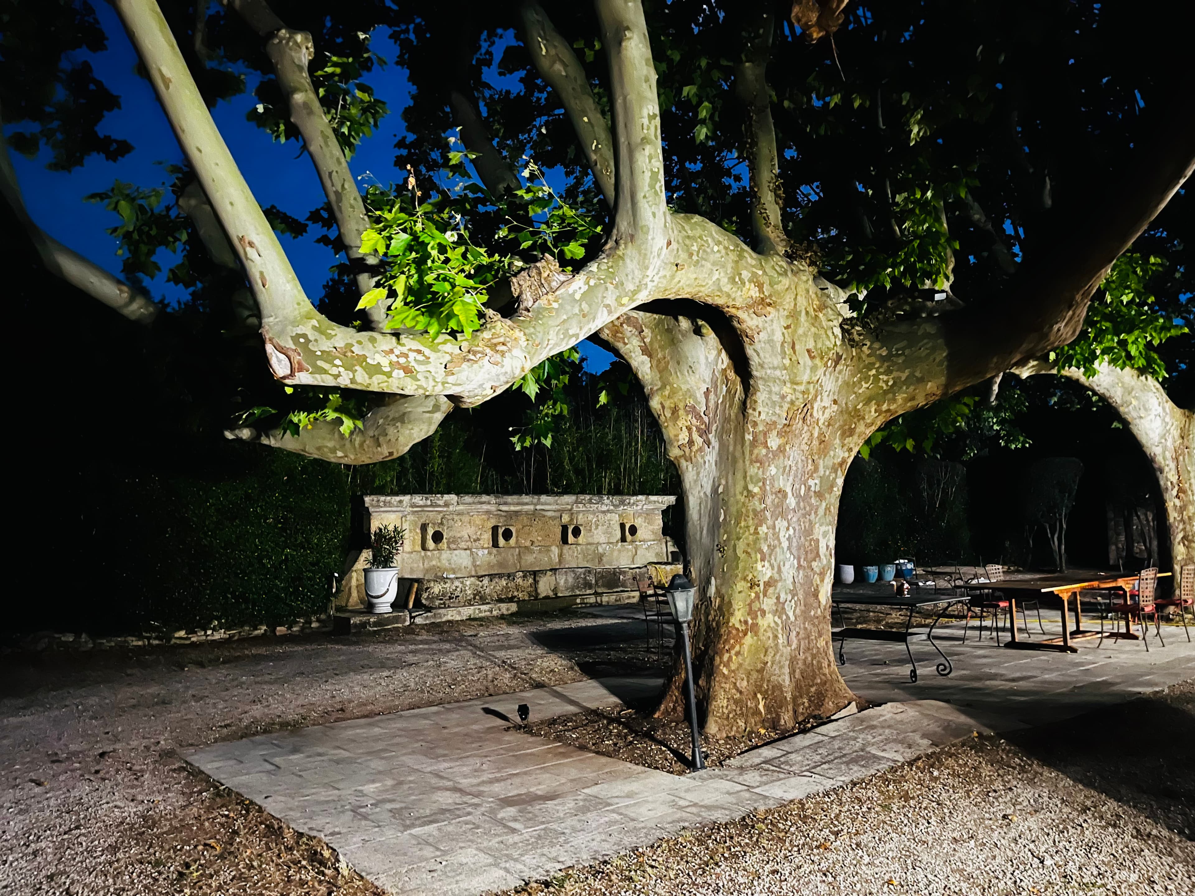 Ambiance nocturne